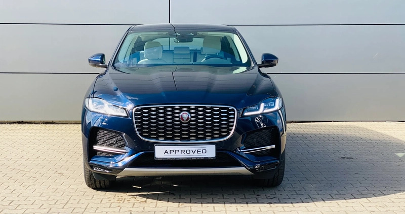 Jaguar F-Pace cena 289000 przebieg: 3000, rok produkcji 2023 z Krynki małe 106